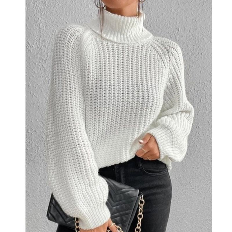 Women's Ribbed Stretch Turtleneck Sweater
