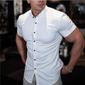 https://cdn.shopify.com/s/files/1/0902/1236/8707/files/O1CN01HPHqLK2L9knUbdFeV__3482039650-0-cib.jpg?v=1739364074
